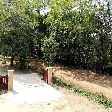 Chalet El Cant Dels Ocells Fillols Exterior foto